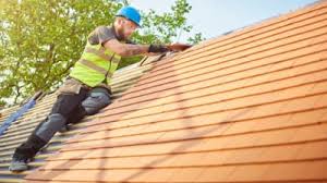 Best Roof Moss and Algae Removal  in Mcnary, AZ