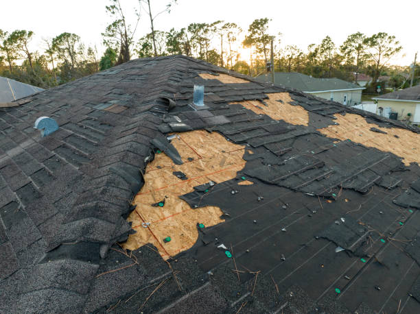 Best Roof Insulation Installation  in Mcnary, AZ