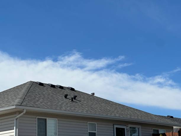 Best Roof Ventilation Installation  in Mcnary, AZ